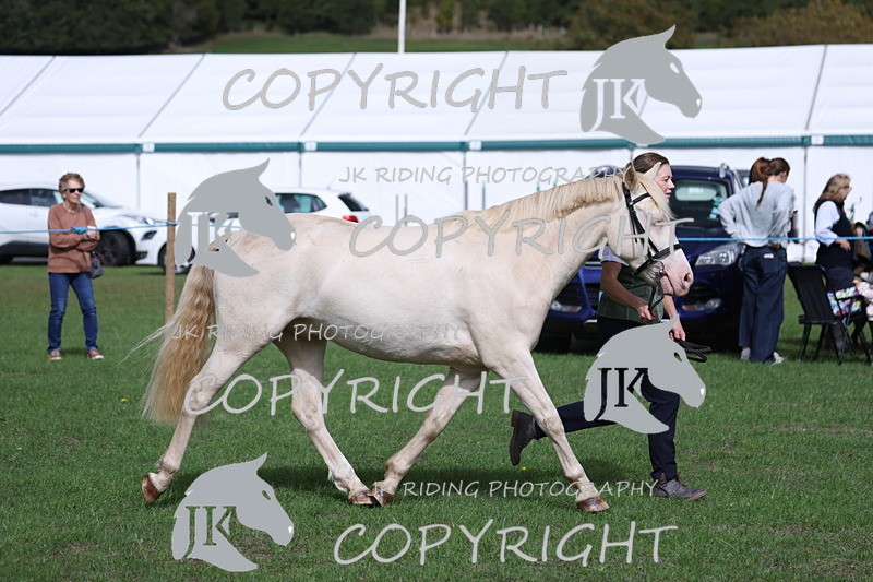 APP_2960 - Class 10a/b M&M in hand