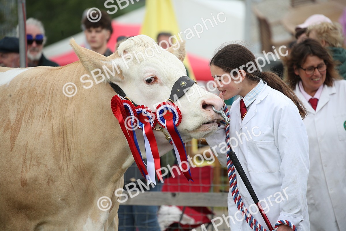 SBM_07856 - Grand Parade