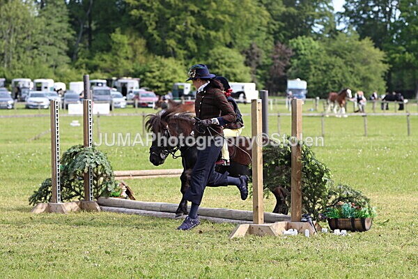 IMG_2139 - Working Hunter