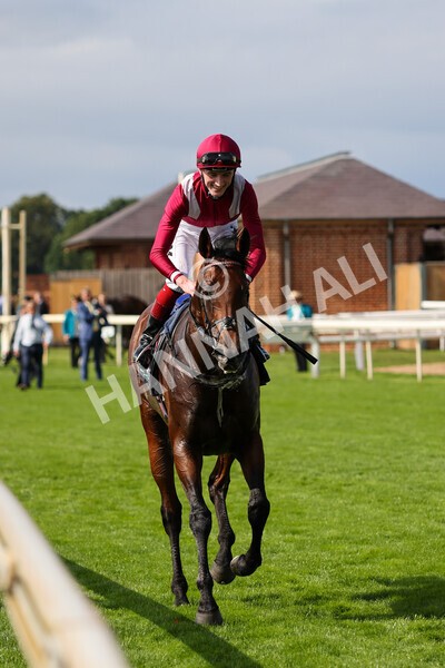 yr18082021r4-98 - Race 4 3.35pm Juddmonte International Stakes (British Champion Series race)