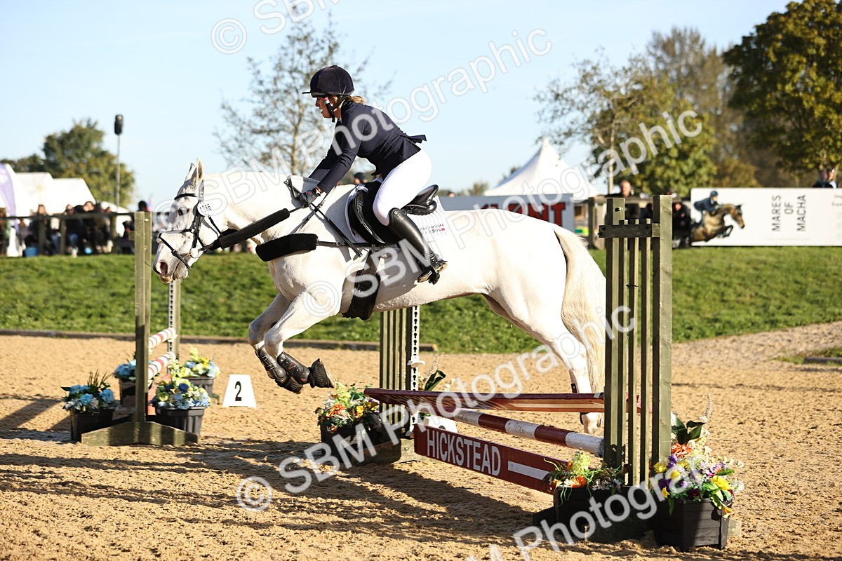 SBM_34513 - J38 - Senior 80cm Championship
