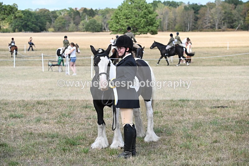 WJ6_6759 - Class 20 In-hand Cob