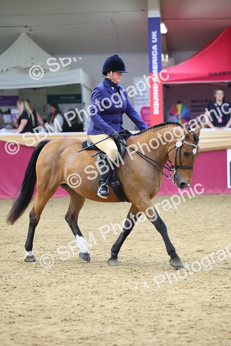 SBM_23967 - Class 905 - Supreme Final - Ridden Veteran