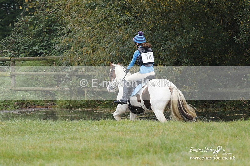 WWHT 171021 0471 - Novice Restricted (0.80m)  17/10/21
