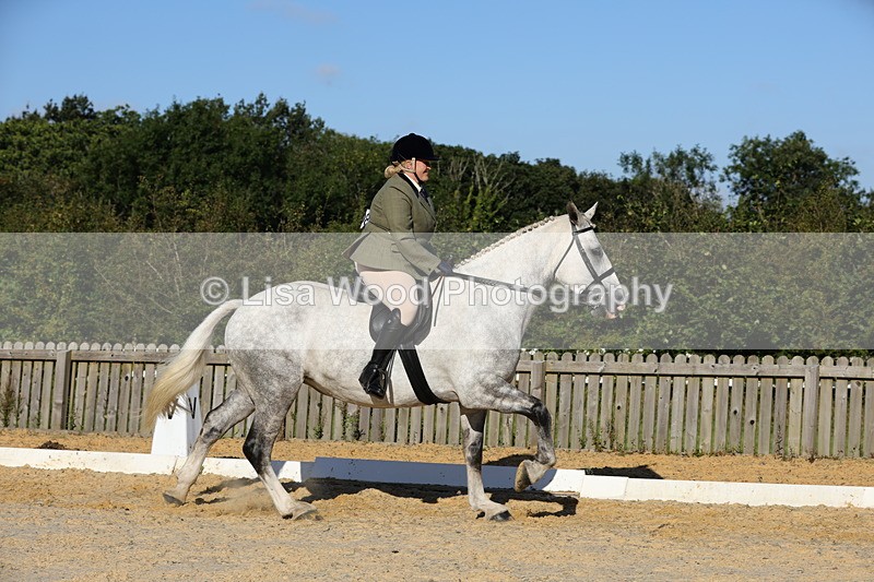 1X9A7561 - Class 7: Novice Ridden Hunter/Hack/Cob/Riding Horse
