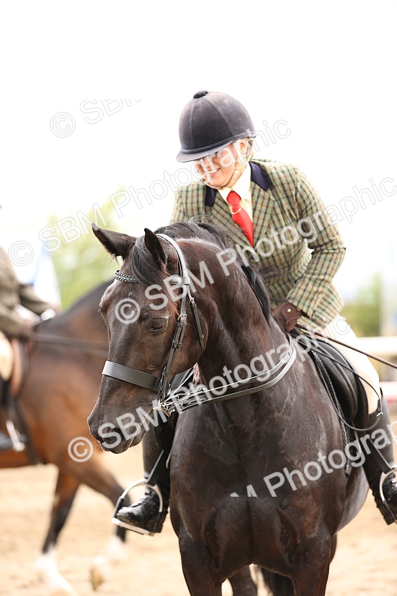 SBM_00346 - Class 52 - Ridden Veteran