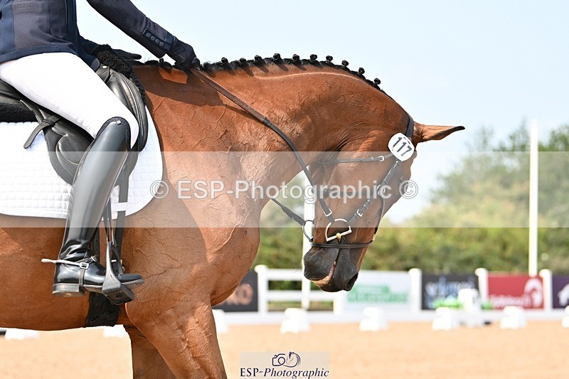 250816-134839-04773 - 117-Sophie.HawkeENORMOUSE