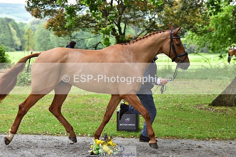 240522-162754-00934 - 273-LUSUELA-Will_Furlong