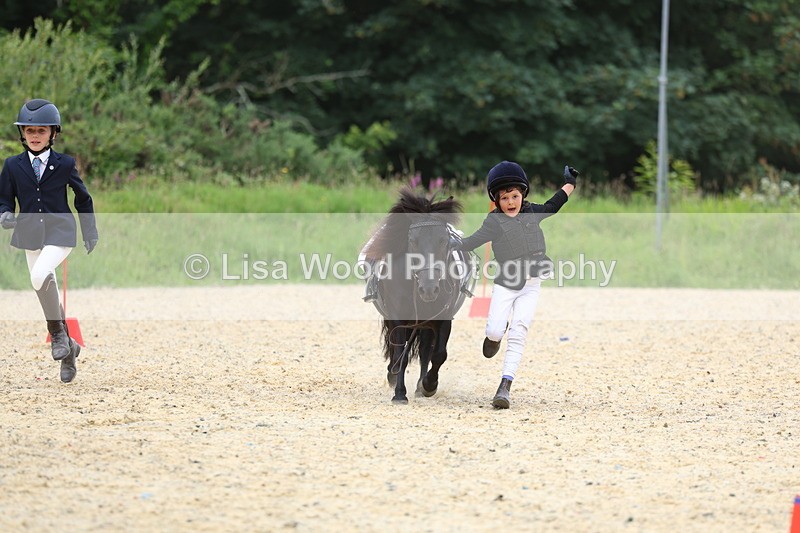 3E7A9528 - Walk trot run