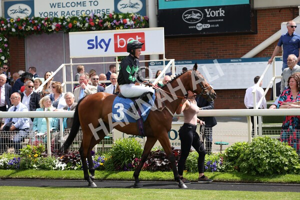 yr10062022r1-9 - Race 1 2.00pm Constant Security Gentlemen Amateur Riders Stakes