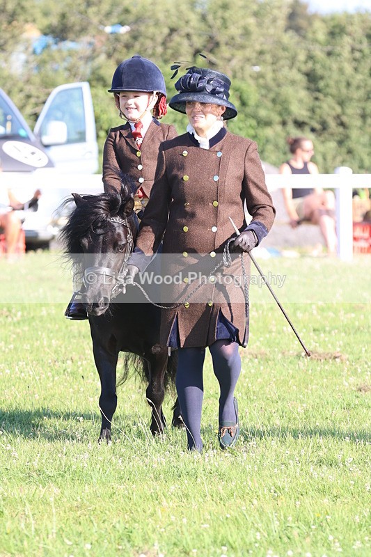 JPP_0863 - Class 16: Cornish Combination Leading Rein