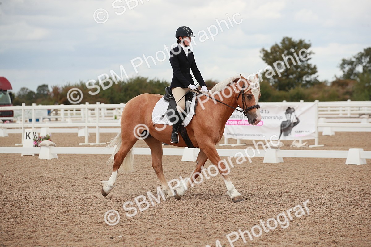 SBM_05905 - Class 32 - Novice 1