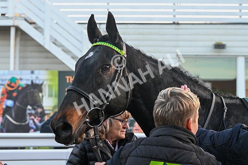 291024-Race 7-Crocodile Power-6568 - Race 7