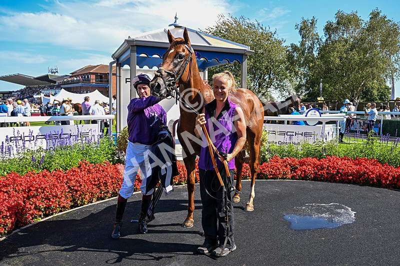 120826-Race 2-Empire Rising-7533 - Race 2 14.45pm 911 At Porsche Centre Hull EBF Restricted Maiden Stakes