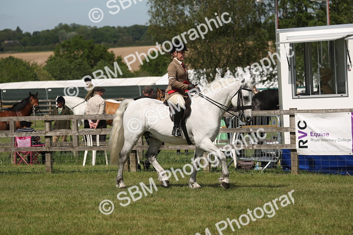 SBM_07663 - Class 26-30 - Mountain and Moorland Ridden