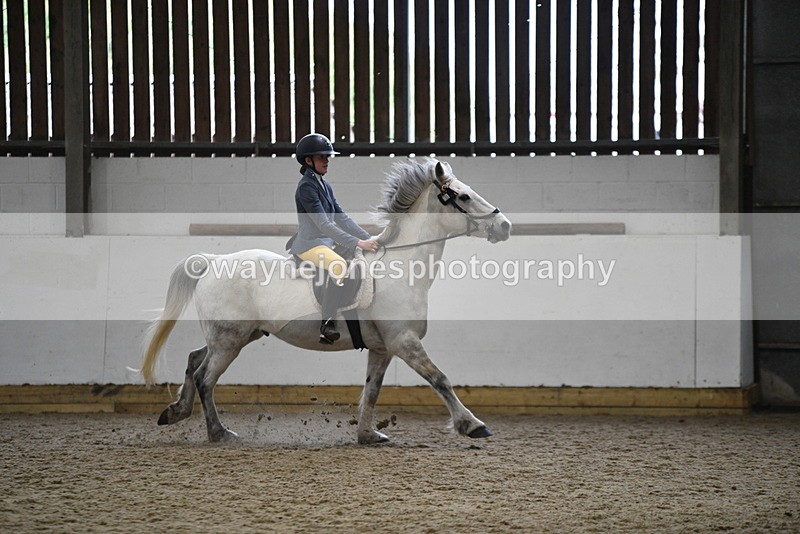 WJ5_7918 - Class 13 Ridden Part Breed