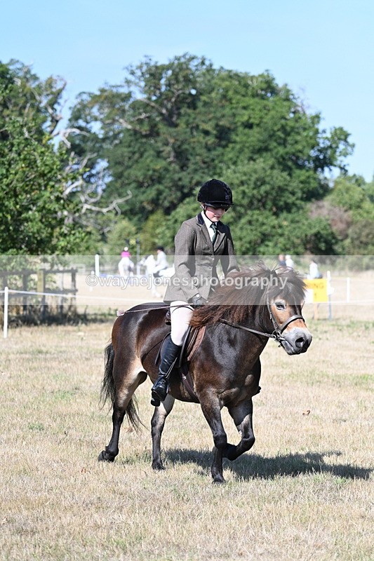 WJ7_3972 - Class 9 Mountain & Moorland Ridden