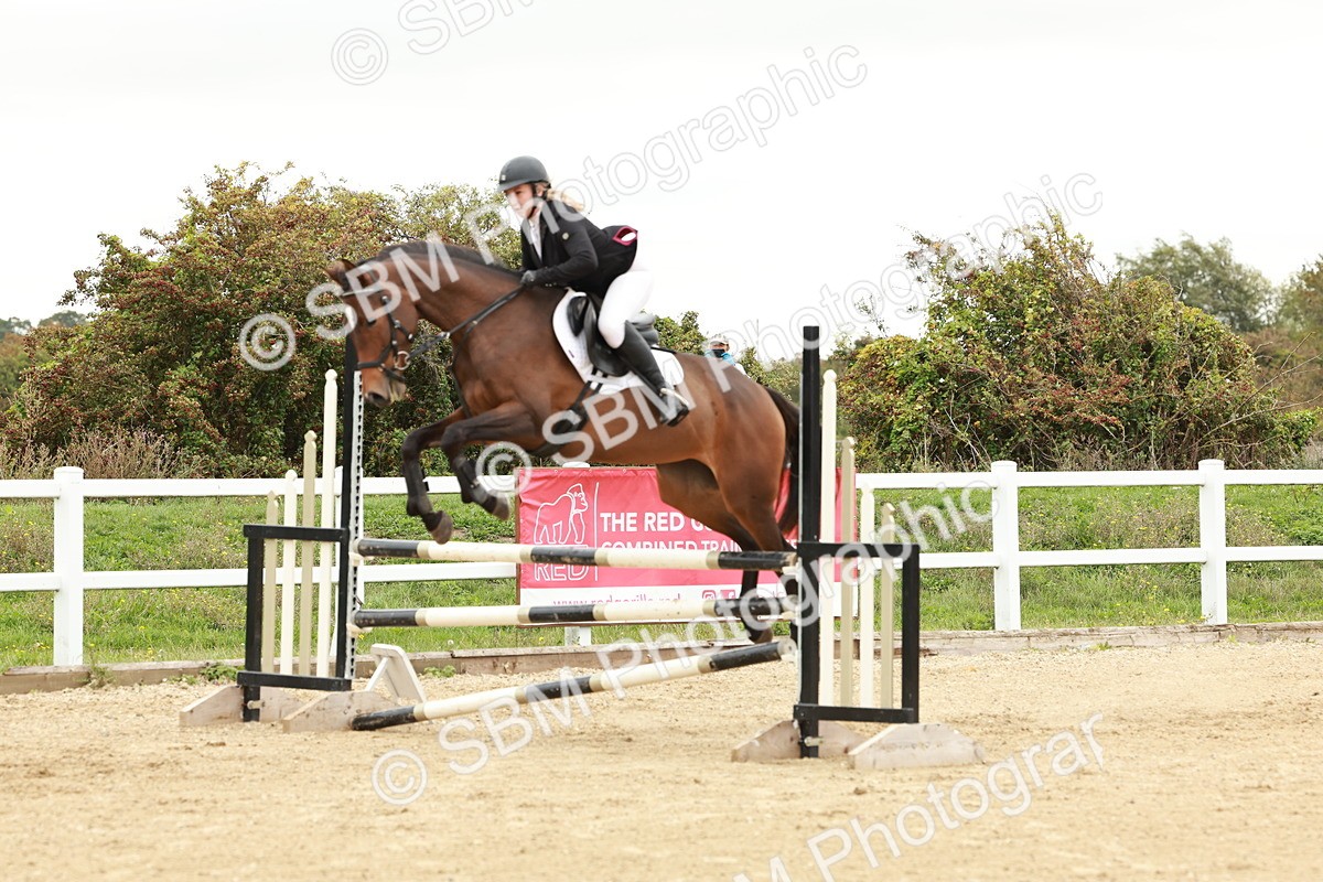 1I0A7094 - Class 2 - Senior British Novice