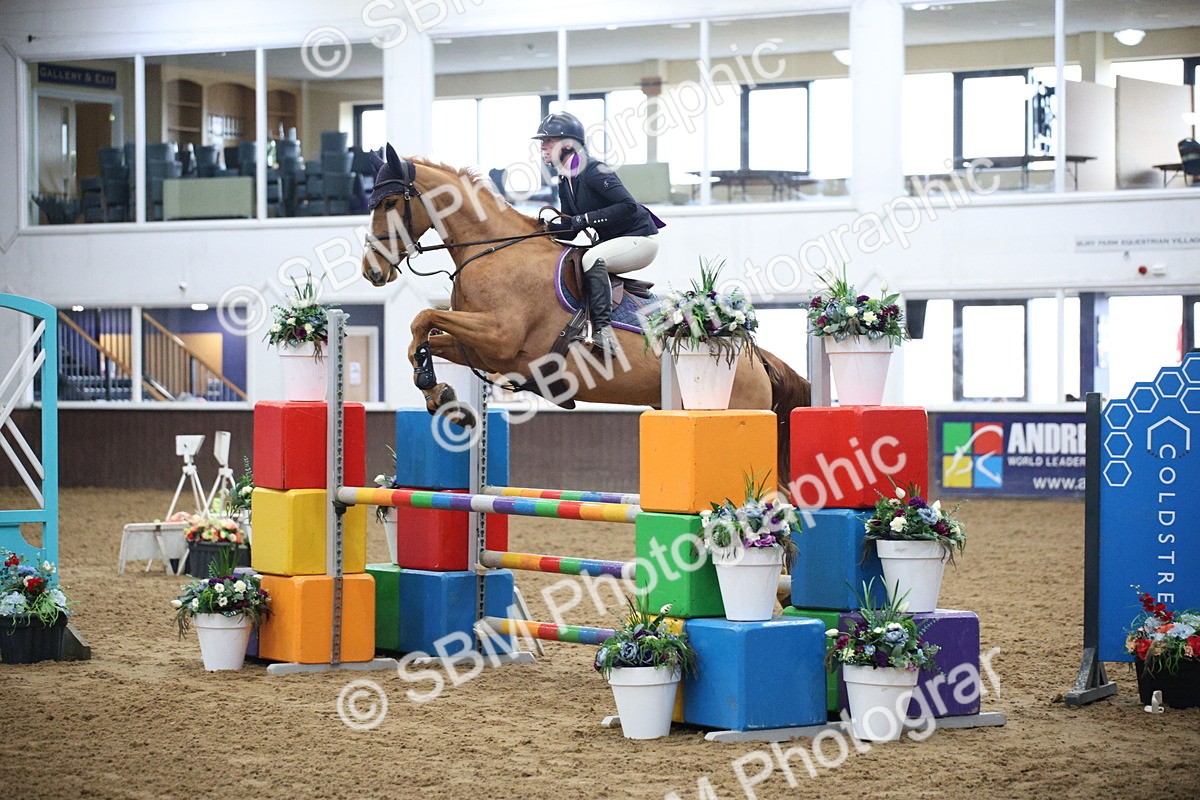 5K7A3707 - Class 2 - Nupafeed Supplements Senior Discovery/ 1m Open