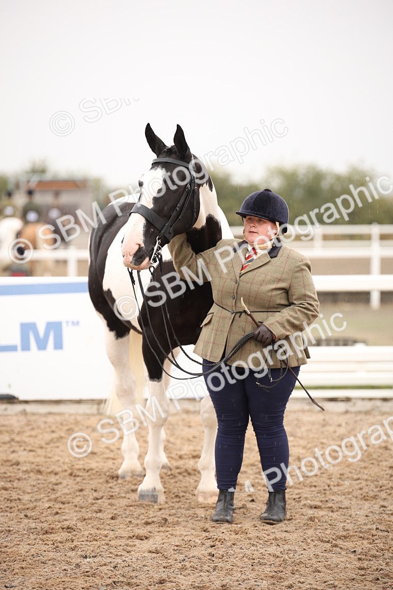 SBM_20194 - Class 703 - IH  Coloured