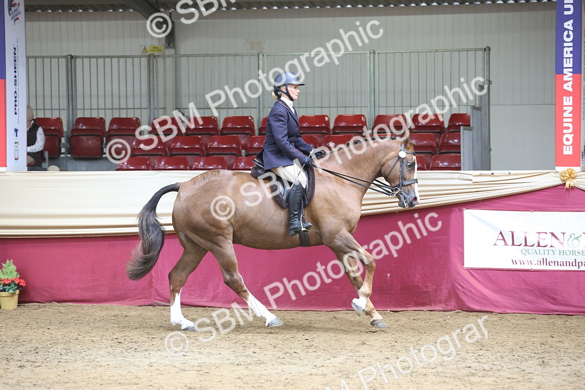 SBM_23729 - class 906 - Supreme Final - Ridden Pre Vet