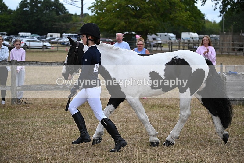 WJ6_8099 - Class 10 Coloured in Hand