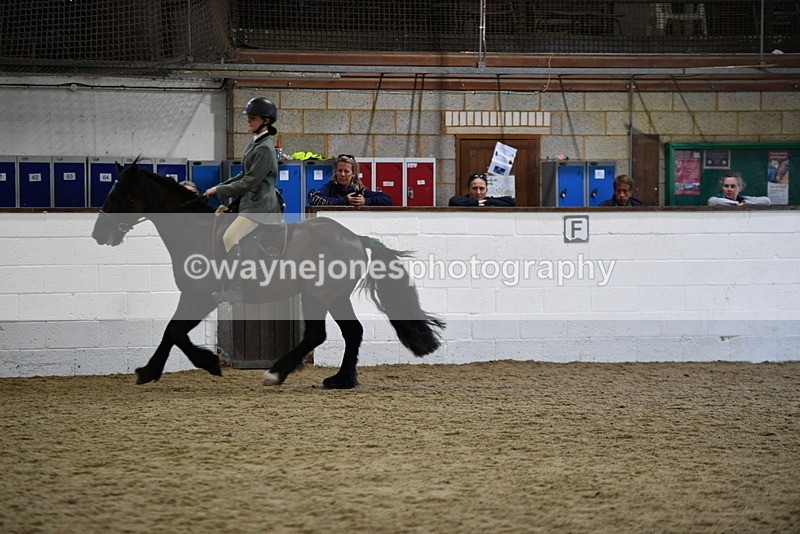 WJ5_7897 - Class 13 Ridden Part Breed