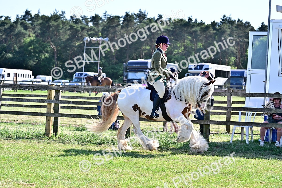 SBM_19475 - Class 101-102 - BSPS LIHS Performance Coloured Horse/Pony