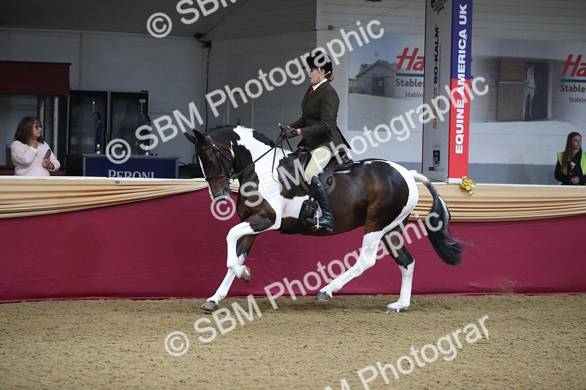 SBM_10424 - Class 102 Equitation (best rider) Adult