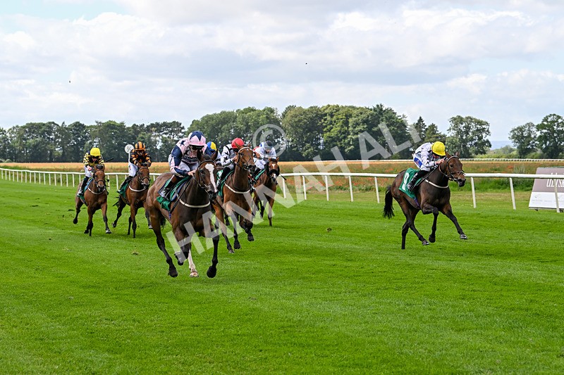 090824-Race 1-Harmonia-4359 - Race 1