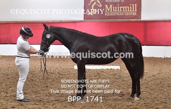 BPP_1741 - MORNING 9AM - 12PM