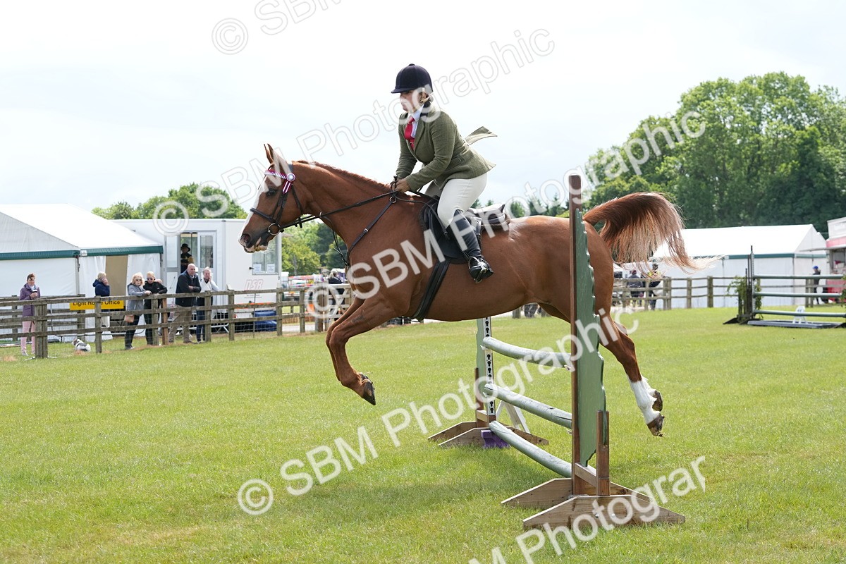 SBM_12900 - Class 99 - RIHS SEIB Working Show Horse