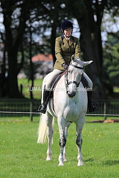 SIAL6449 - Ring 1 & 3