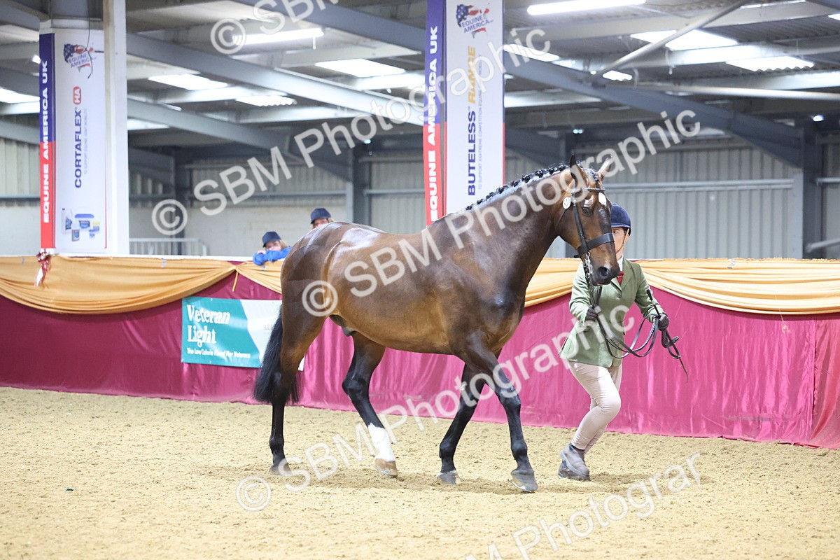 SBM_20839 - Class 902 - Supreme Final IH Veteran