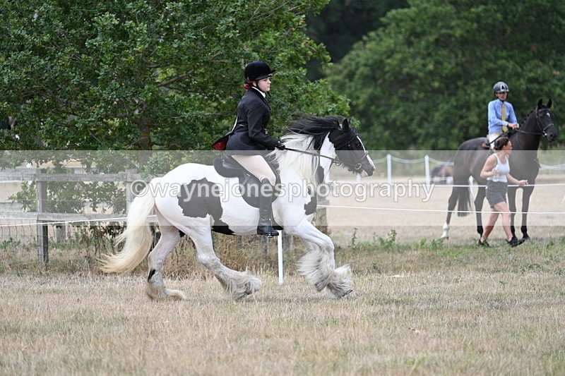 WJ7_4420 - Class 11 Family Mount