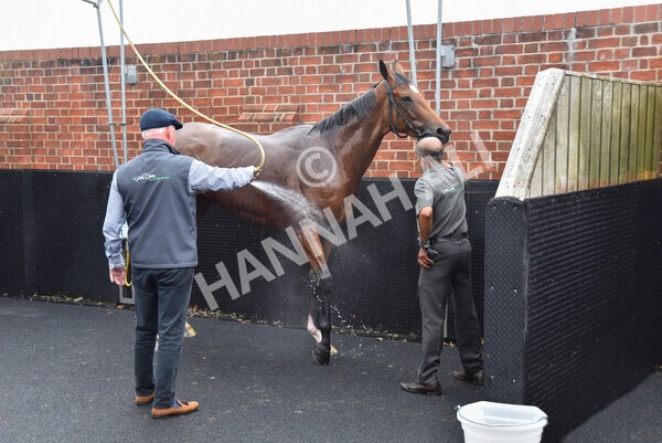 yr19082022r4-129 - Race 4 3.35pm Coolmore Wootton Bassett Nunthorpe Stakes (British Champion Series Race)