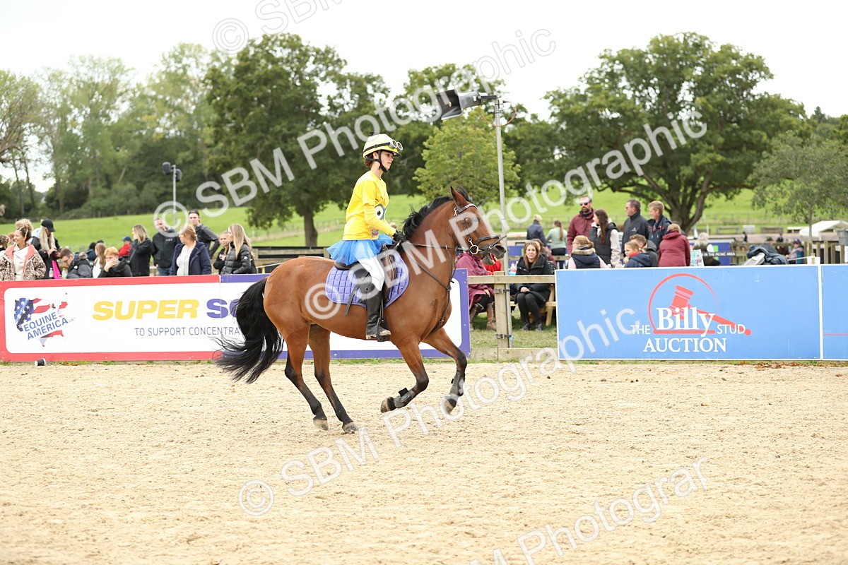 SBM_66121 - J48 - Pairs Jumping Open 70cm & 85cm