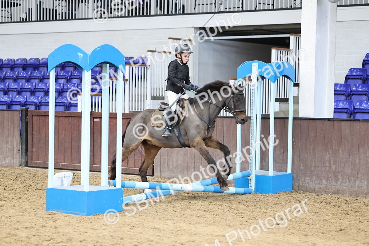 SBM_007063 - Class 1 - 40cm showjumping