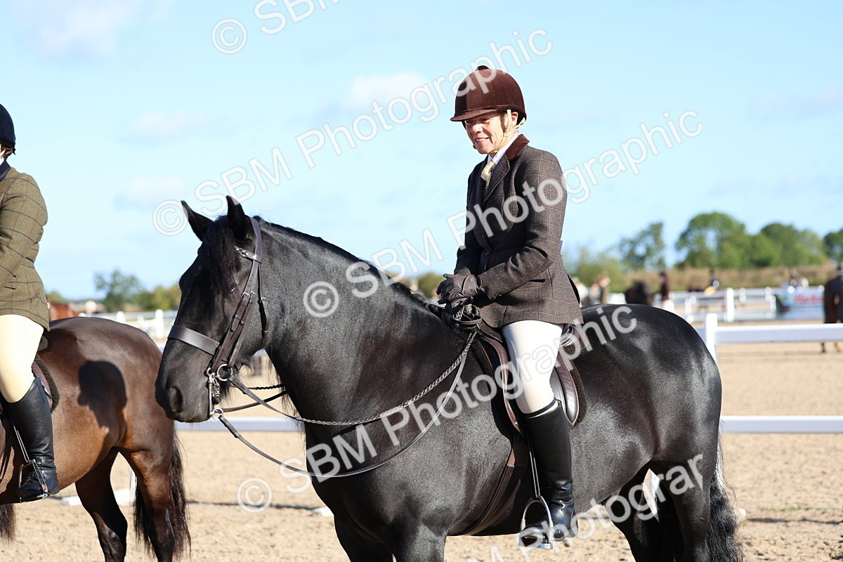 SBM_08875 - Class 302 - Ridden M&M - Large Breeds