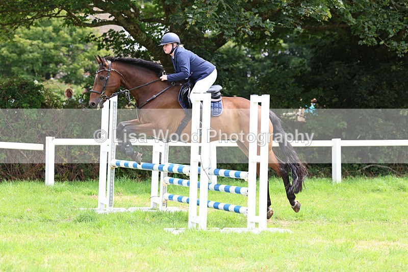 3E7A7367 - Class 5: Senior British Novice/90cm open