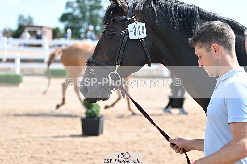 240717A-153704-02917 - Trot Up 3pm to 4pm
