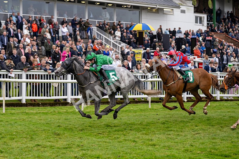 040524-Race 4-Star Of Lady M-4523 - Race 4