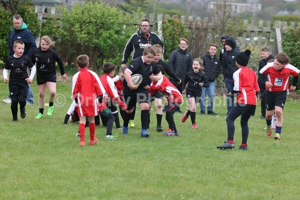 DAD22392 - Rookies/Mini Rugby on 7s Day