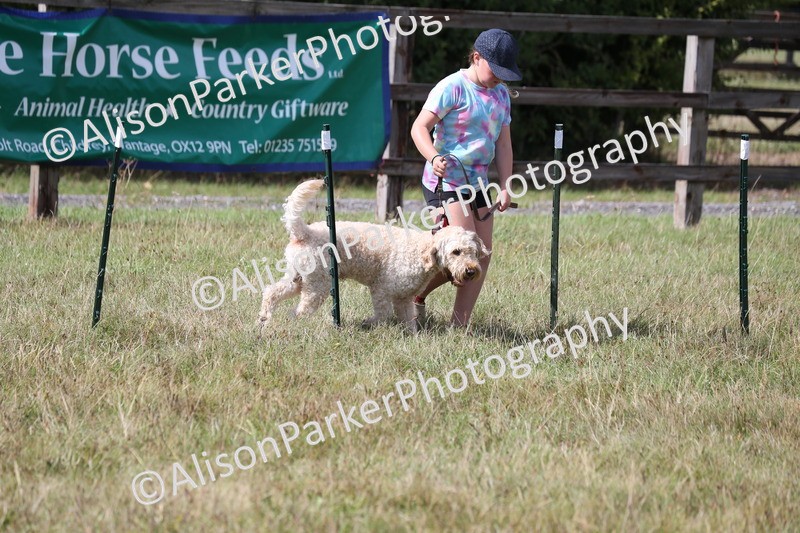 20260906-3432 - Class 34 - Dog Agility