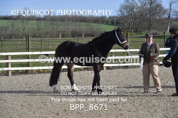 BPP_8671 - RING 2 - M&M