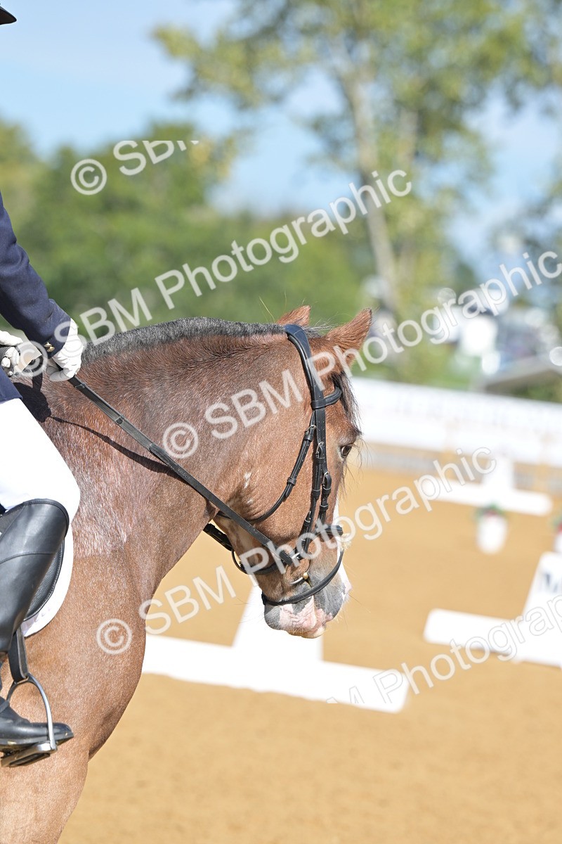SBM_03906 - D2 - Small Tour Championship Intro 2