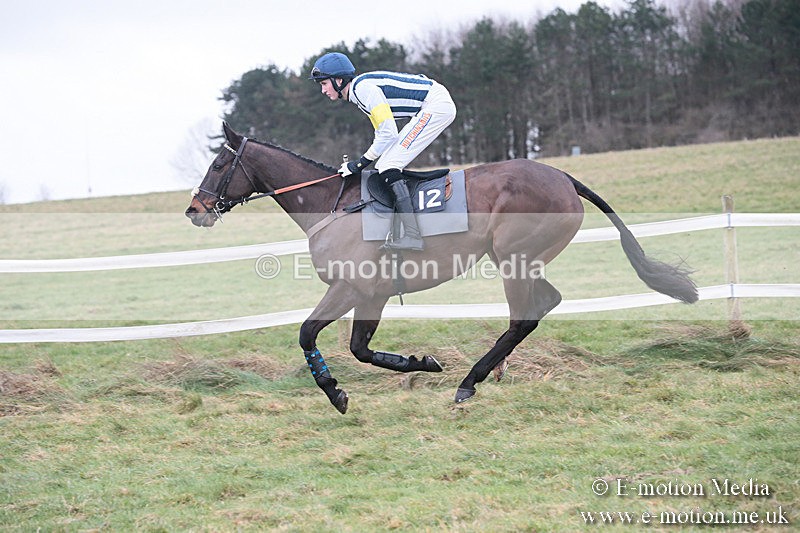 PtP 230119 283 - Royal Artillery Point-to-Point  - Larkhill  - 26/01/19