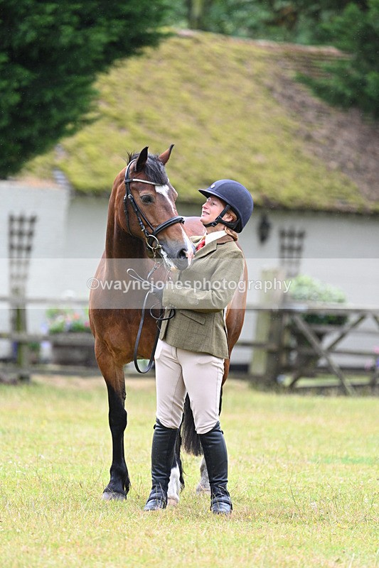 WJ7_6294 - Class 4a Prettiest Mare over 14hh