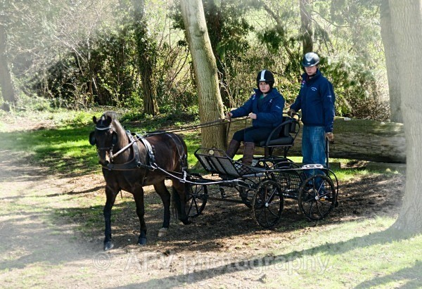 _DSC8838 - Ashfields Carriage & Polo Club