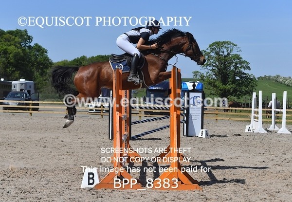 BPP_8383 - CLASS 6 Senior Newcomers/ 1.10m Open